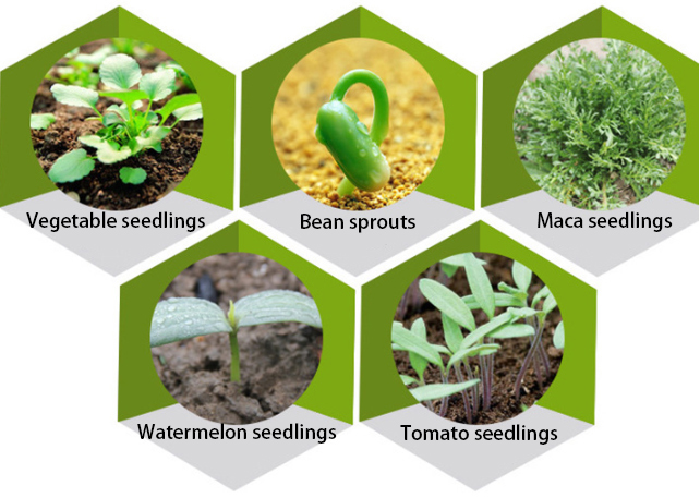 Applications of seed trays
