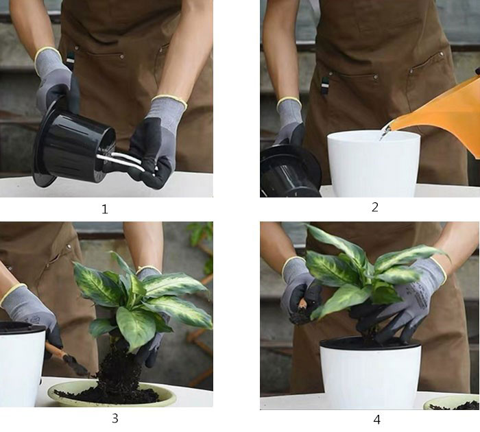 How to use self watering pot