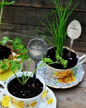 Make a plant label with a spoon
