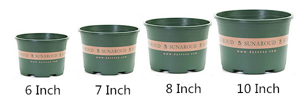 Plastic plant containers size