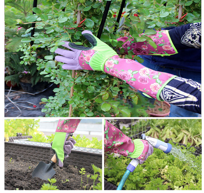Thorn proof gardening gloves