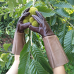 Leather Gardening Gloves for Men and Women