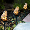 Outdoor Garden Owl Solar Light with Stake