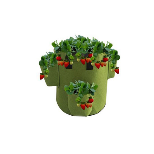 5 Gallon/10 Gallon Strawberry Fabric Grow Bag