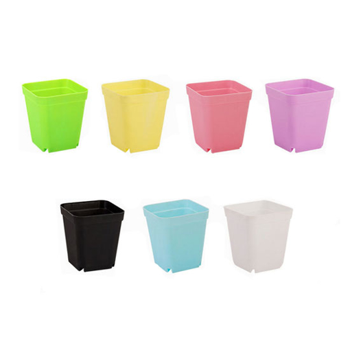 Colorful Square Plastic Plant Pot, 3 Inch