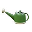 1 Gallon Plant Watering Can