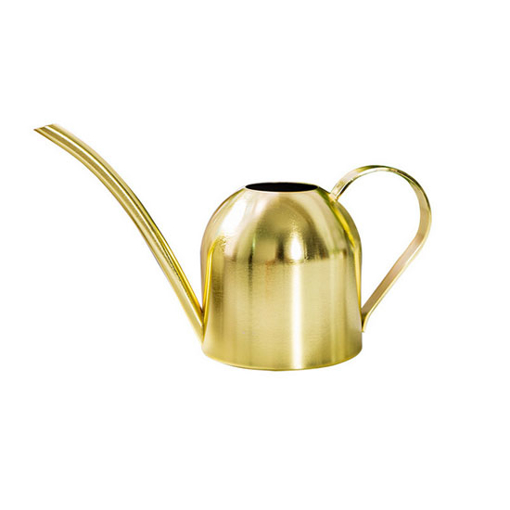 Stainless Steel Watering Can, Copper/Gold Color