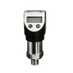 Portable Precision Digital Pressure Gauge with Output, 0-600 Bar