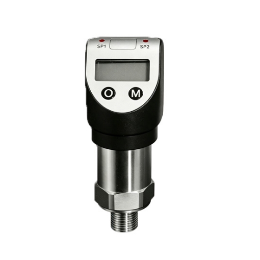 Portable Precision Digital Pressure Gauge with Output, 0-600 Bar