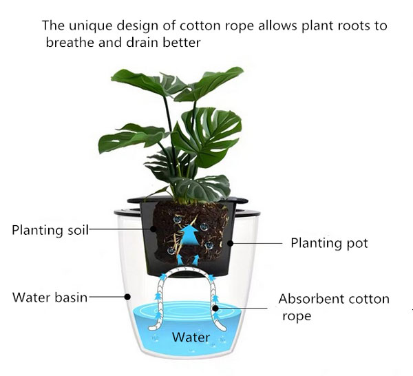 Working principle of self watering pots