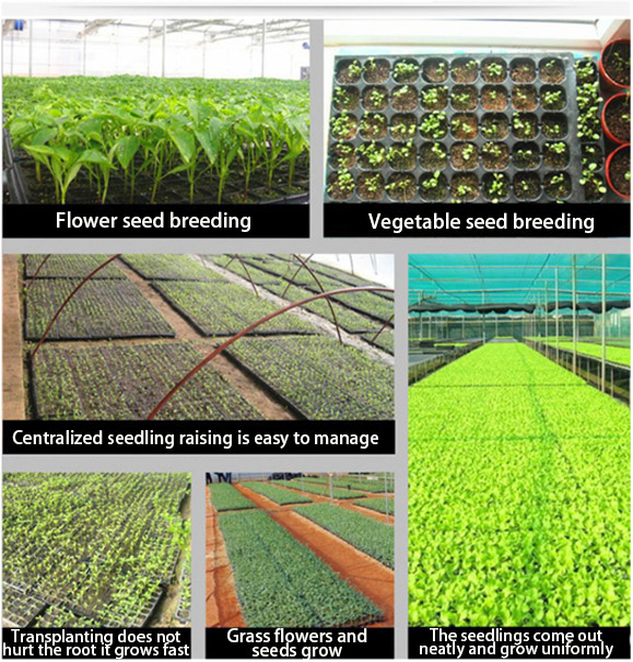 Applications of seed trays