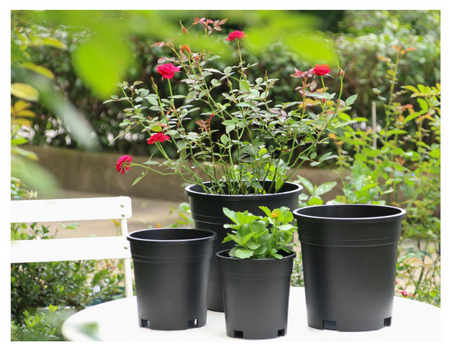 Black plastic planters