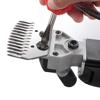 Blade Replacement for Electric Sheep Shearing Clipper, Step 1