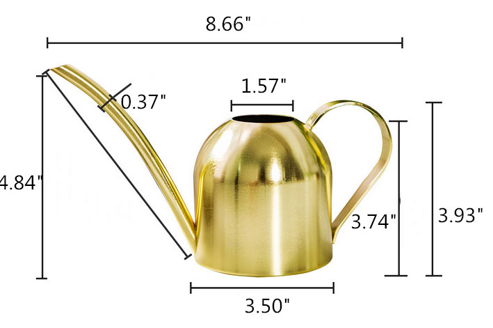 Copper watering can dimension