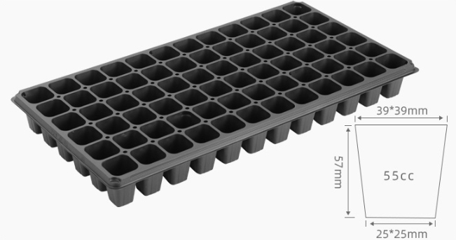 Details of 6x12 plant growing trays