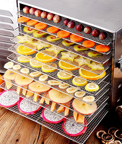 Fruit dehydrator