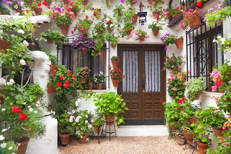 Garden flowers