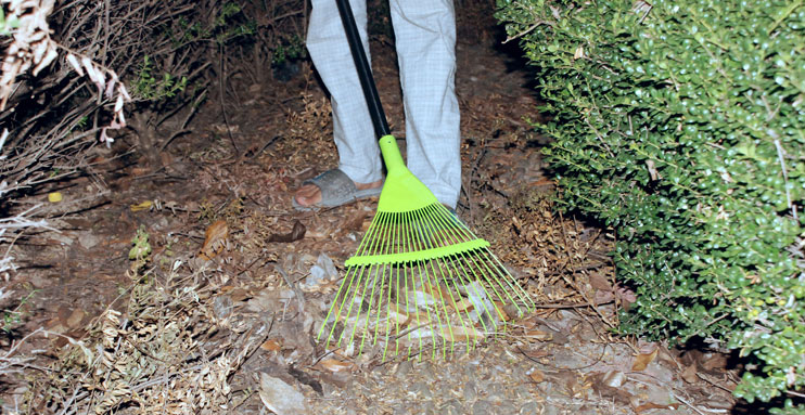 Hand rakes for leaves