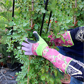 ladies thorn proof garden gloves