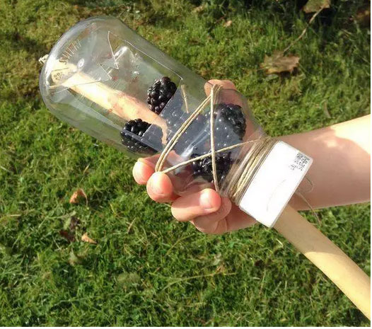 Make a fruit picker