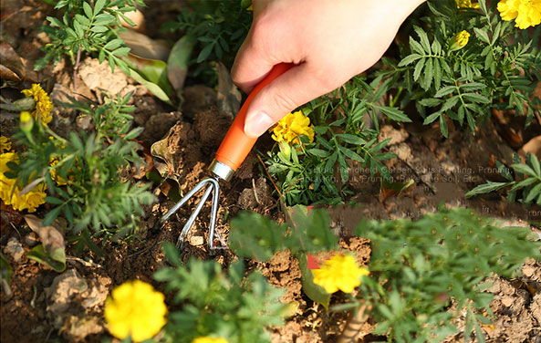 Mini nail rake