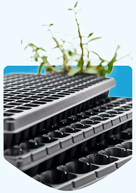 Details of plant trays