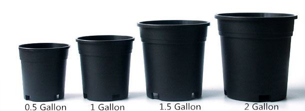 Plastic nursery pot size