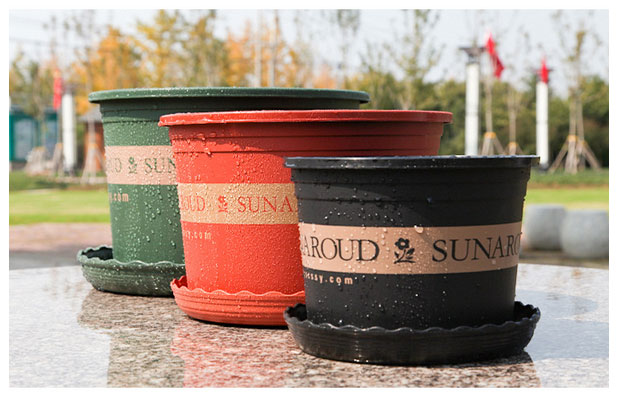 Plastic plant containers color