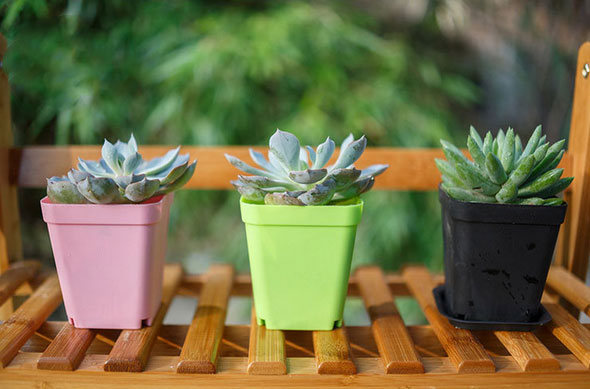  Square nursery pots