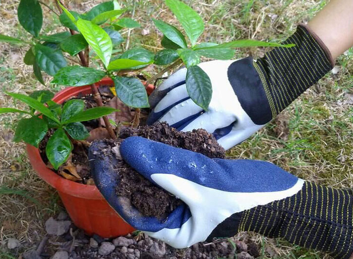 Waterproof gloves for gardening